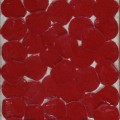 Red dot 8 14x20 leather dots with 1” resin layer 