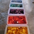 Learning how to dye.